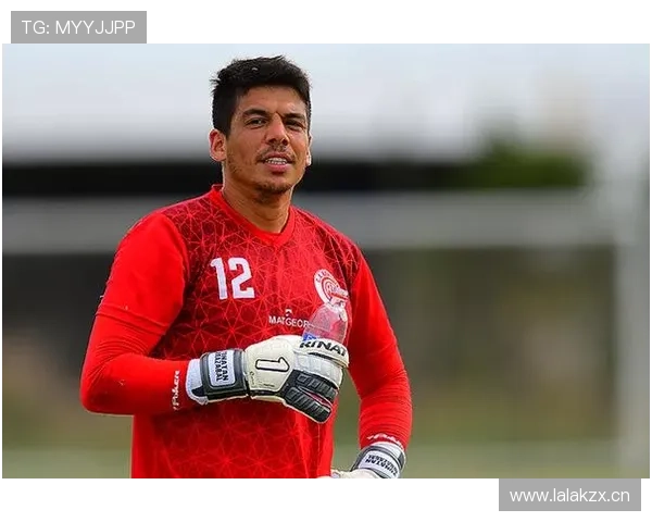 内维斯：从青年队队长到成年国家队的成长路径解析