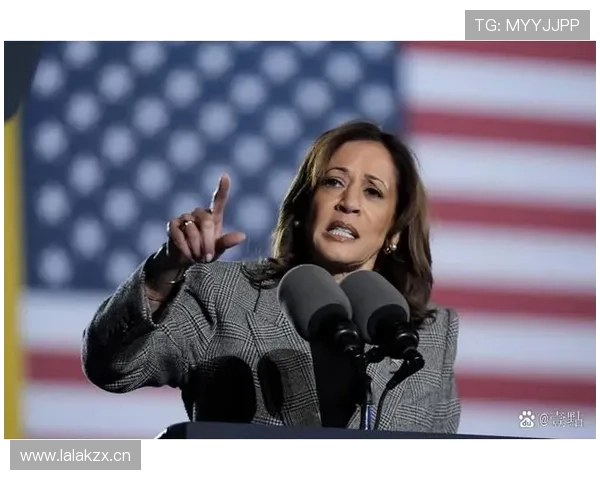 麦迪逊：10号位到自由核心的角色演变分析